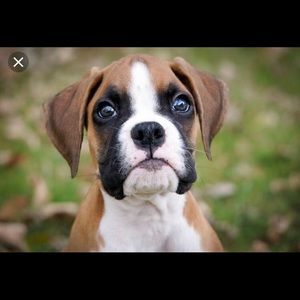 Meet your Posher, Todd